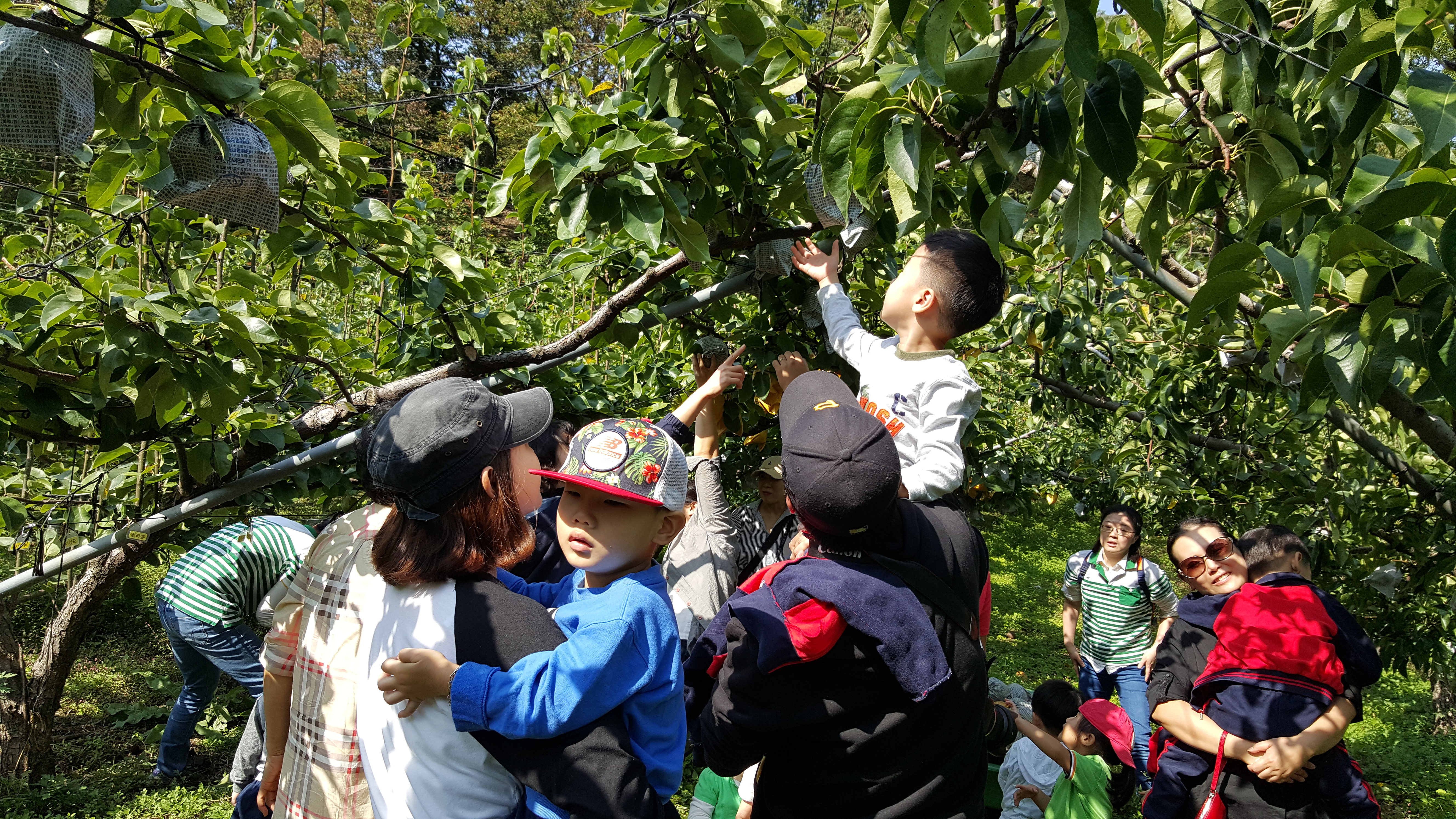 20151006_110051.jpg