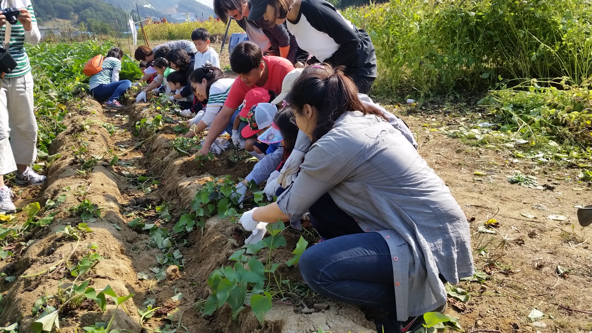 20151006_102437.jpg