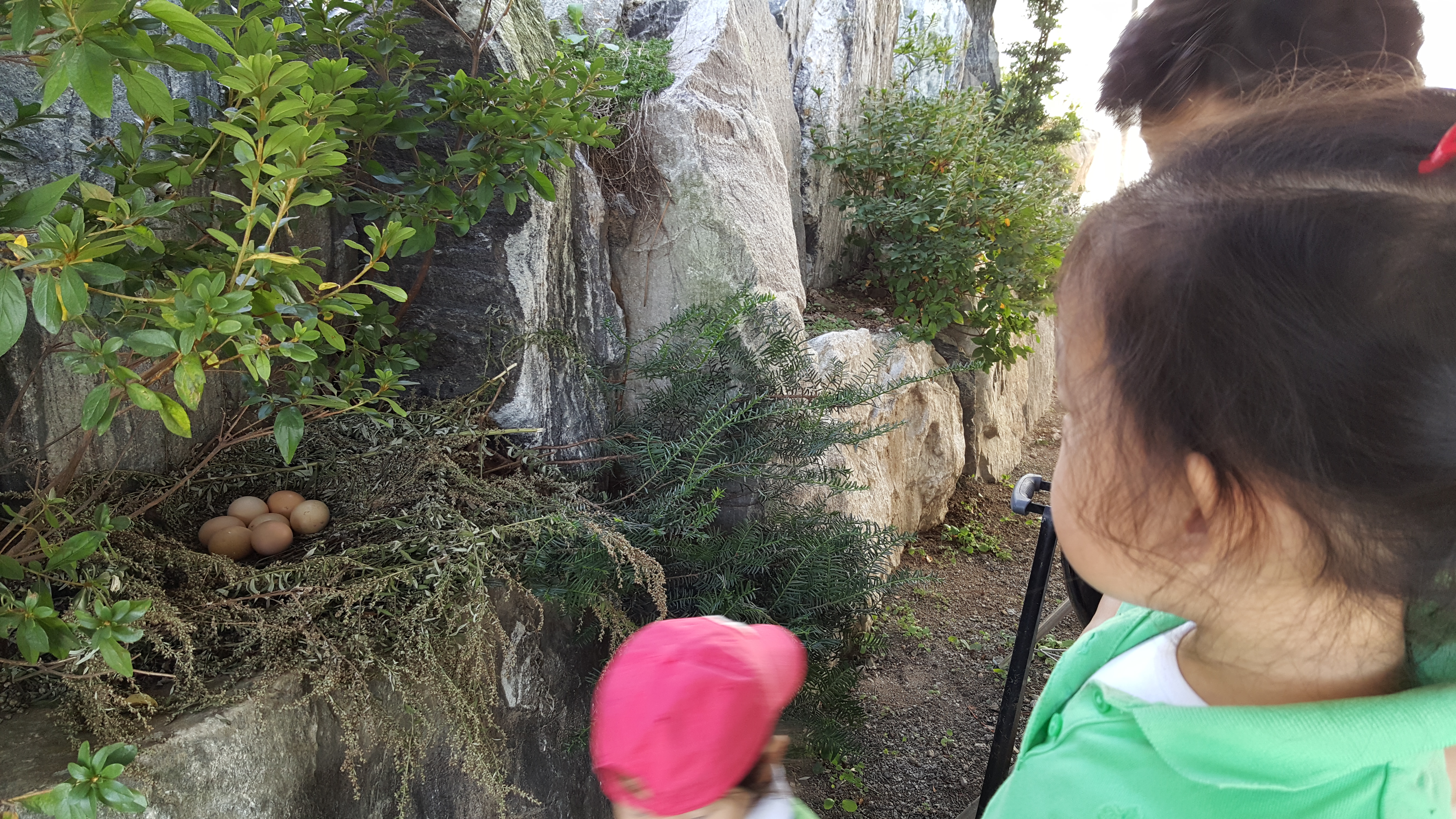 20151006_112417.jpg