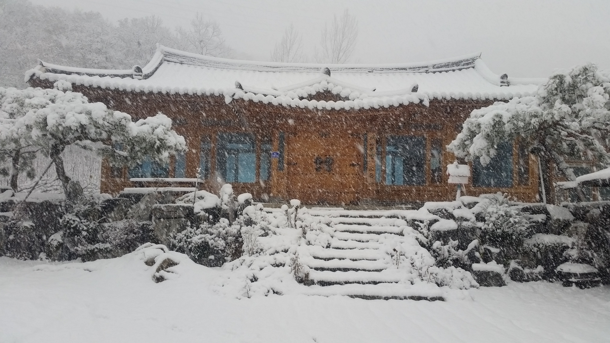20151203_091217.jpg