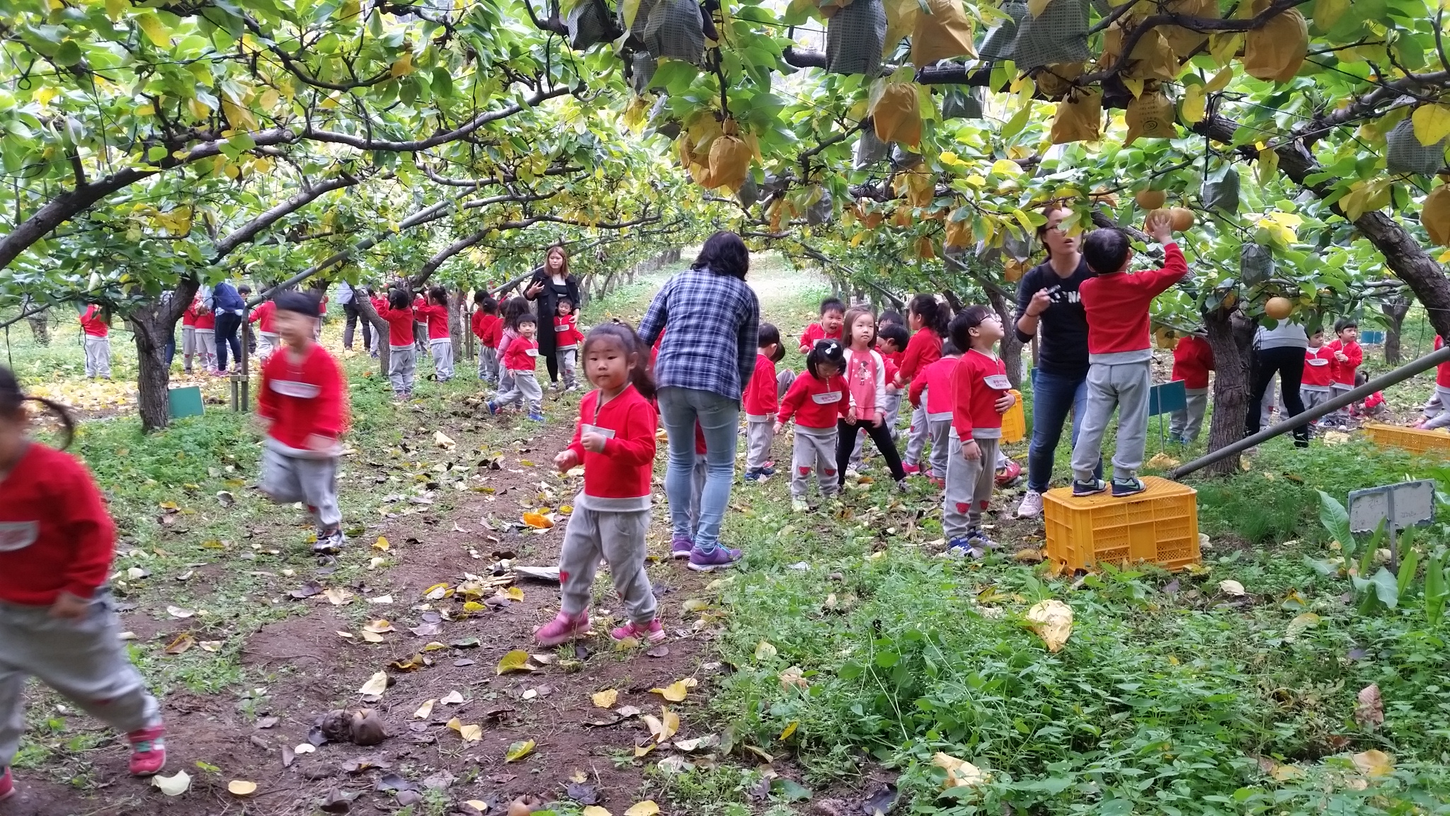 20151023_110145.jpg
