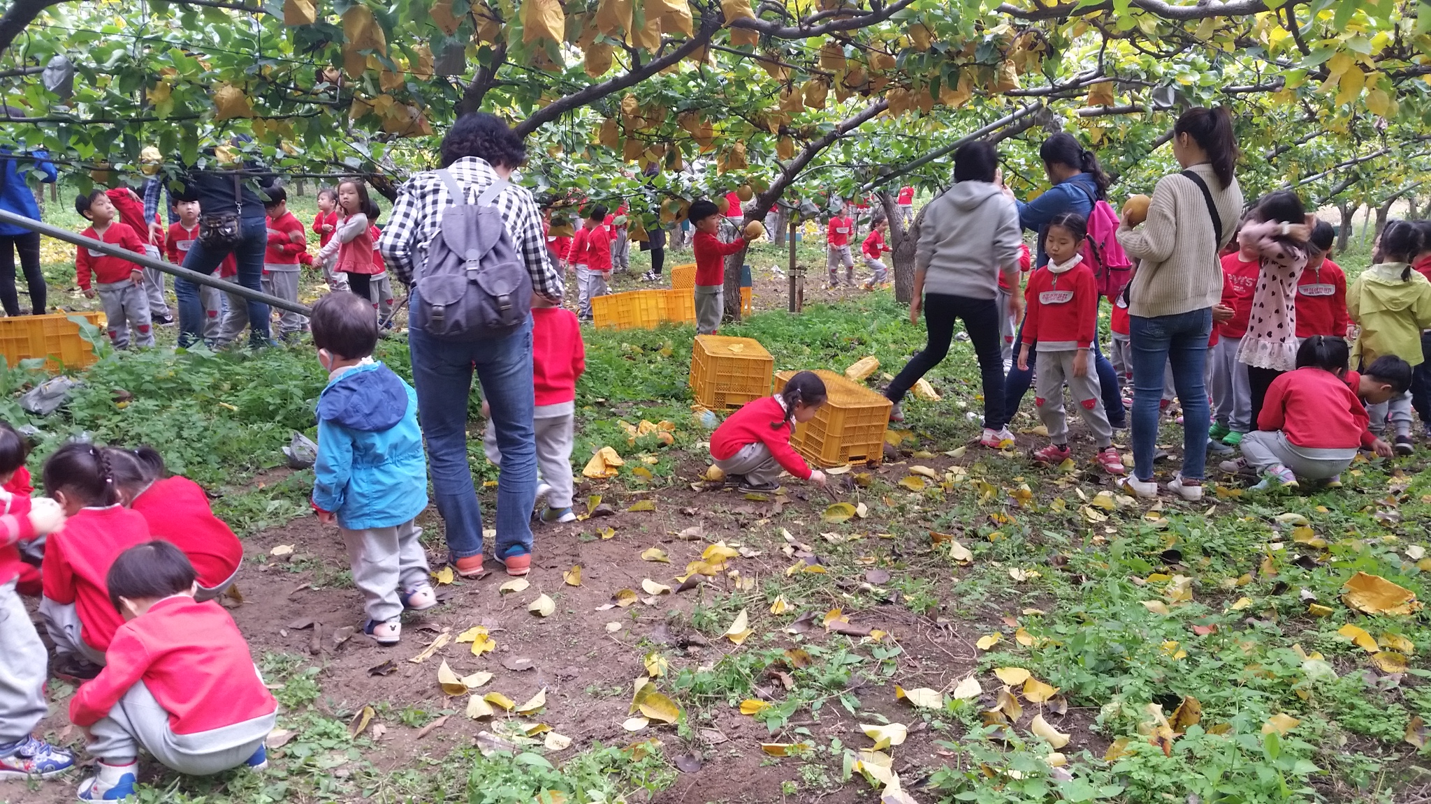 20151023_110123.jpg