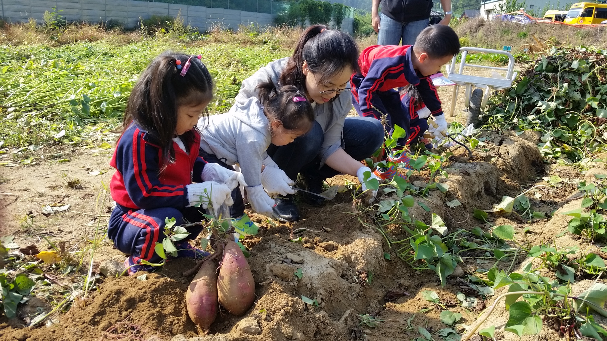 20151006_102736.jpg