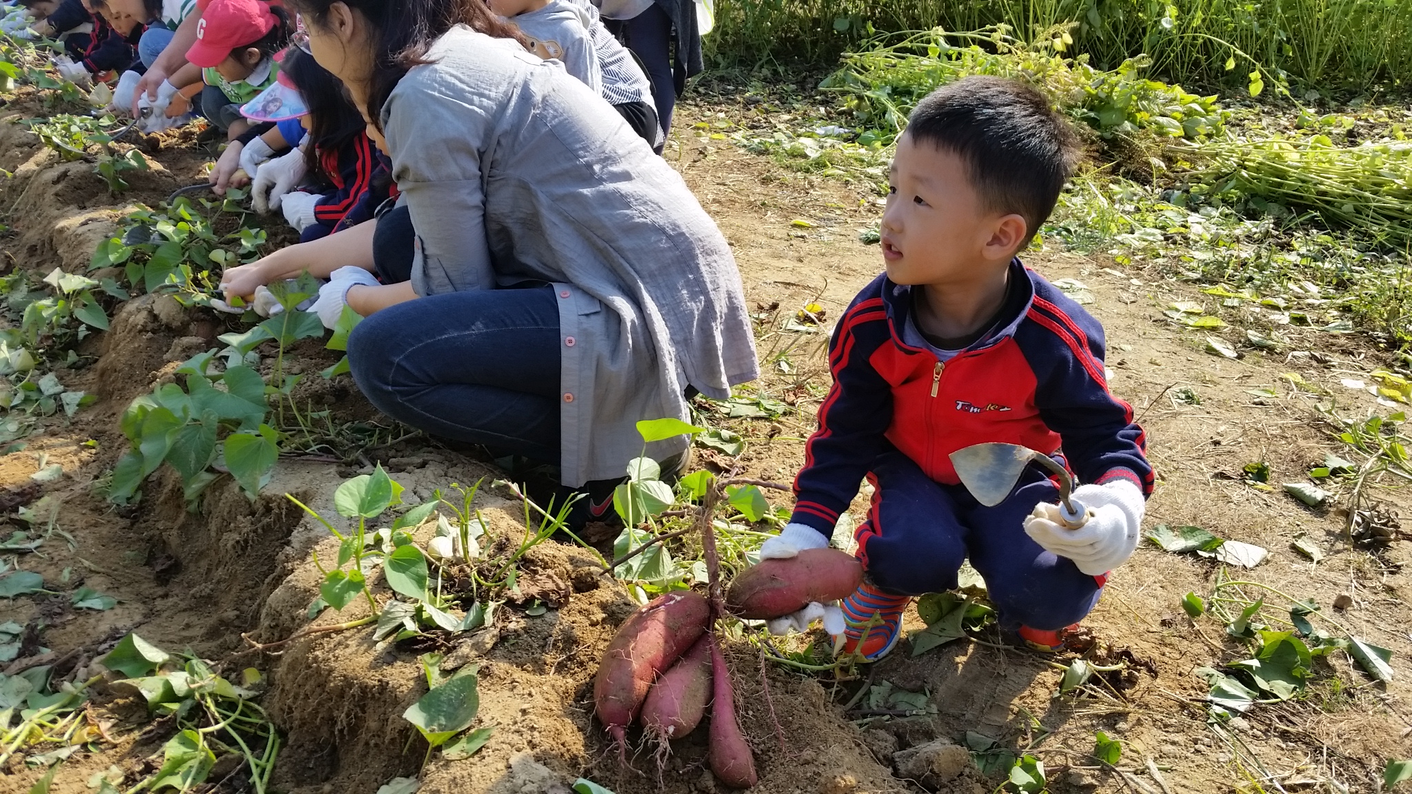 20151006_102431.jpg