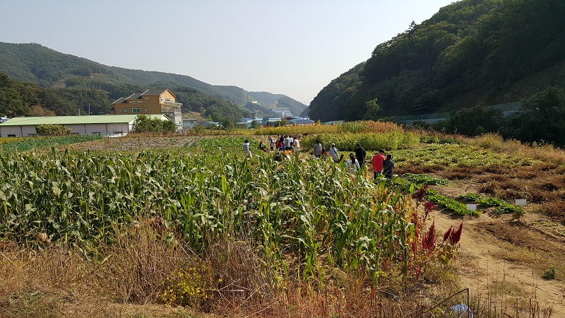 20151006_102005_001.jpg