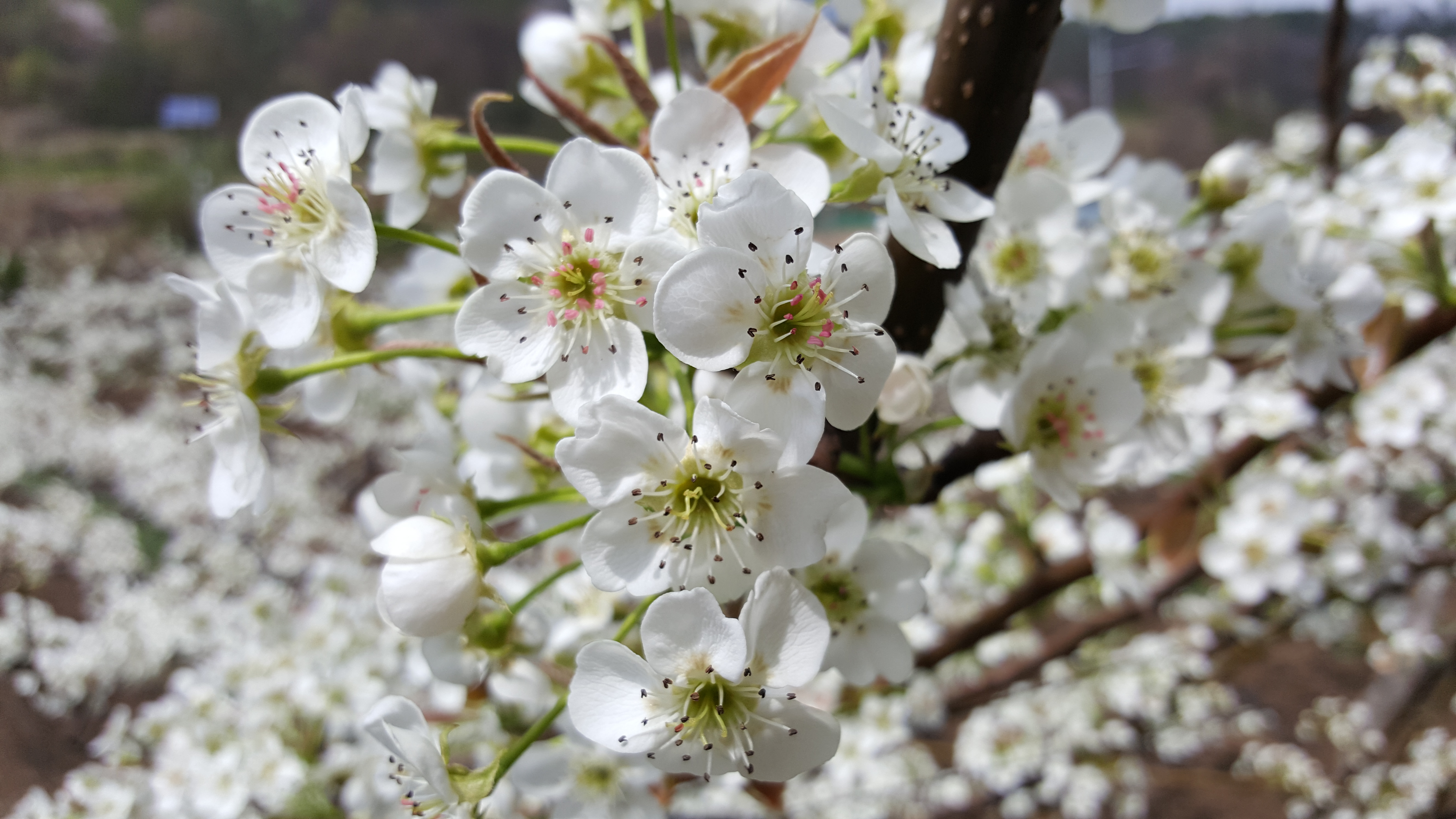 20160417_130227.jpg