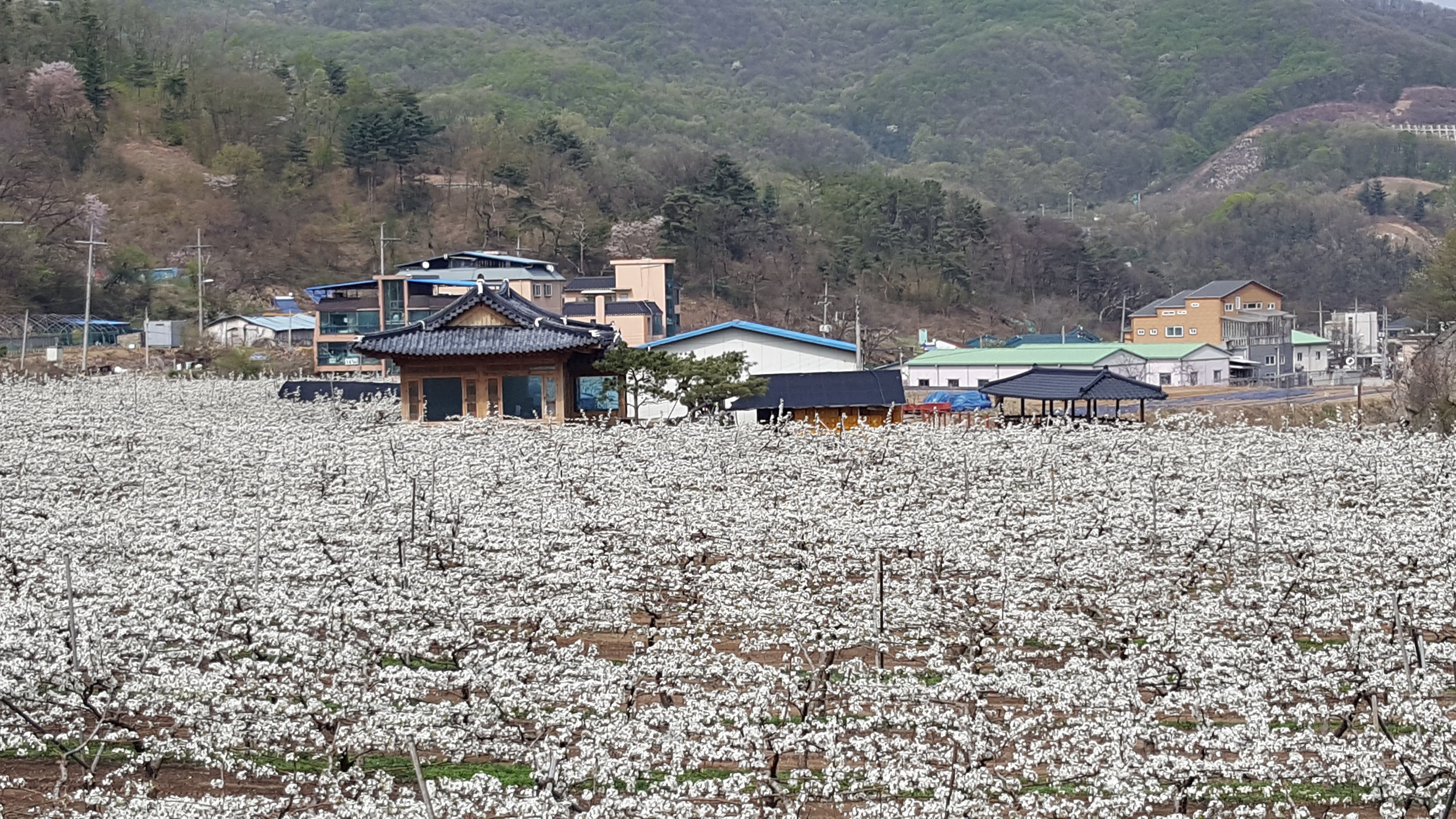 20160418_143913.jpg
