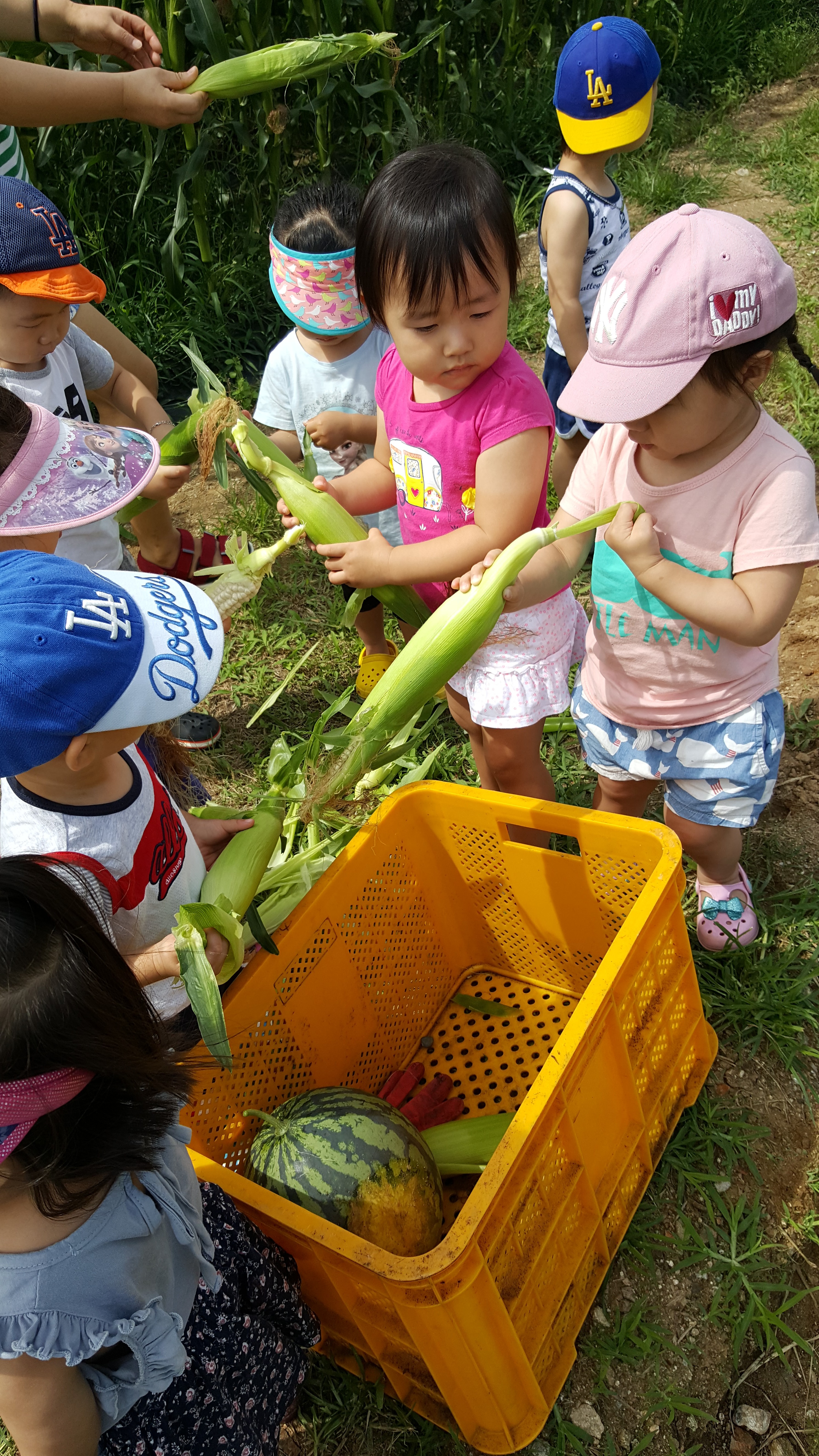 20160715_101709.jpg