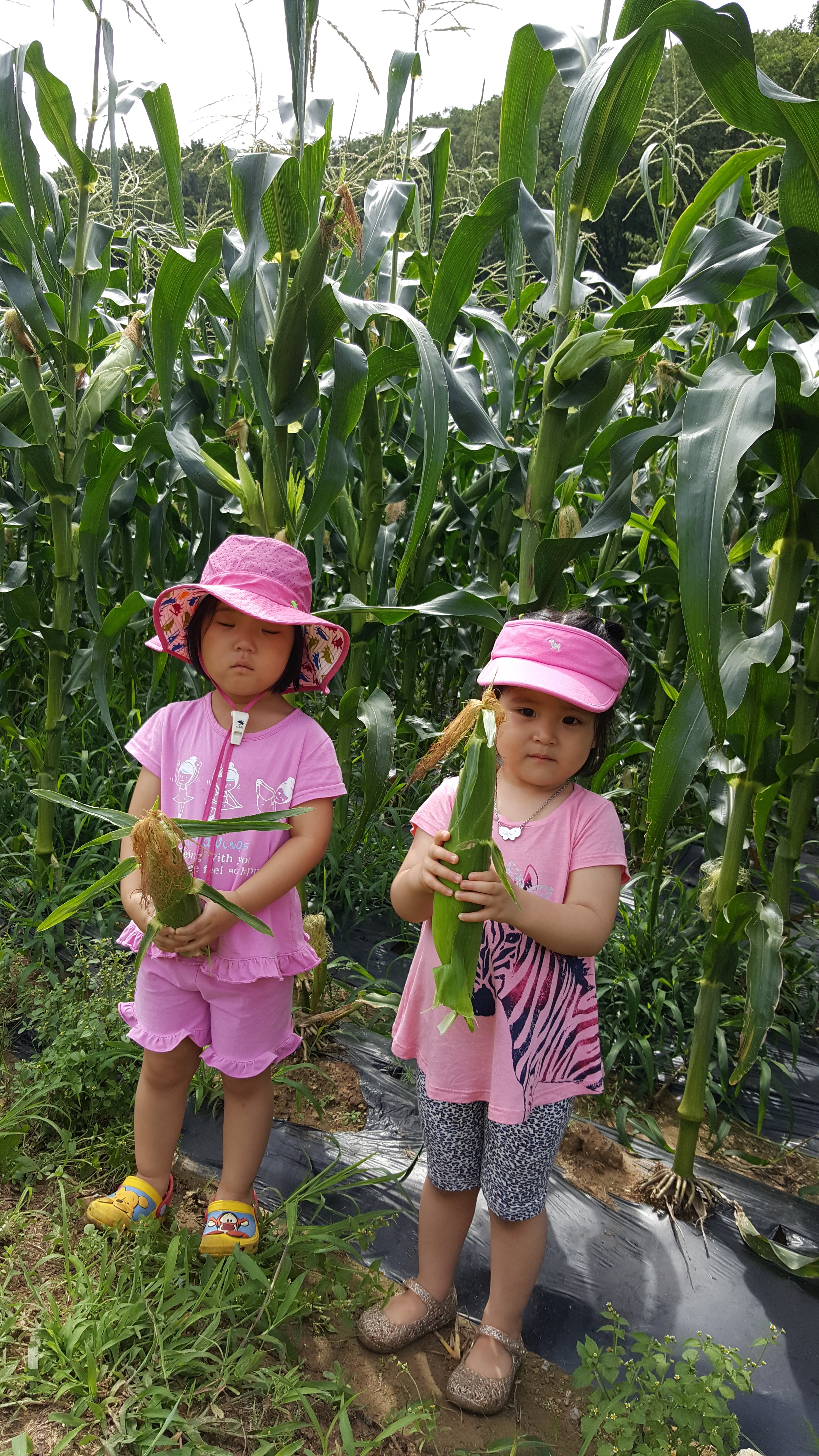 20160715_101336.jpg