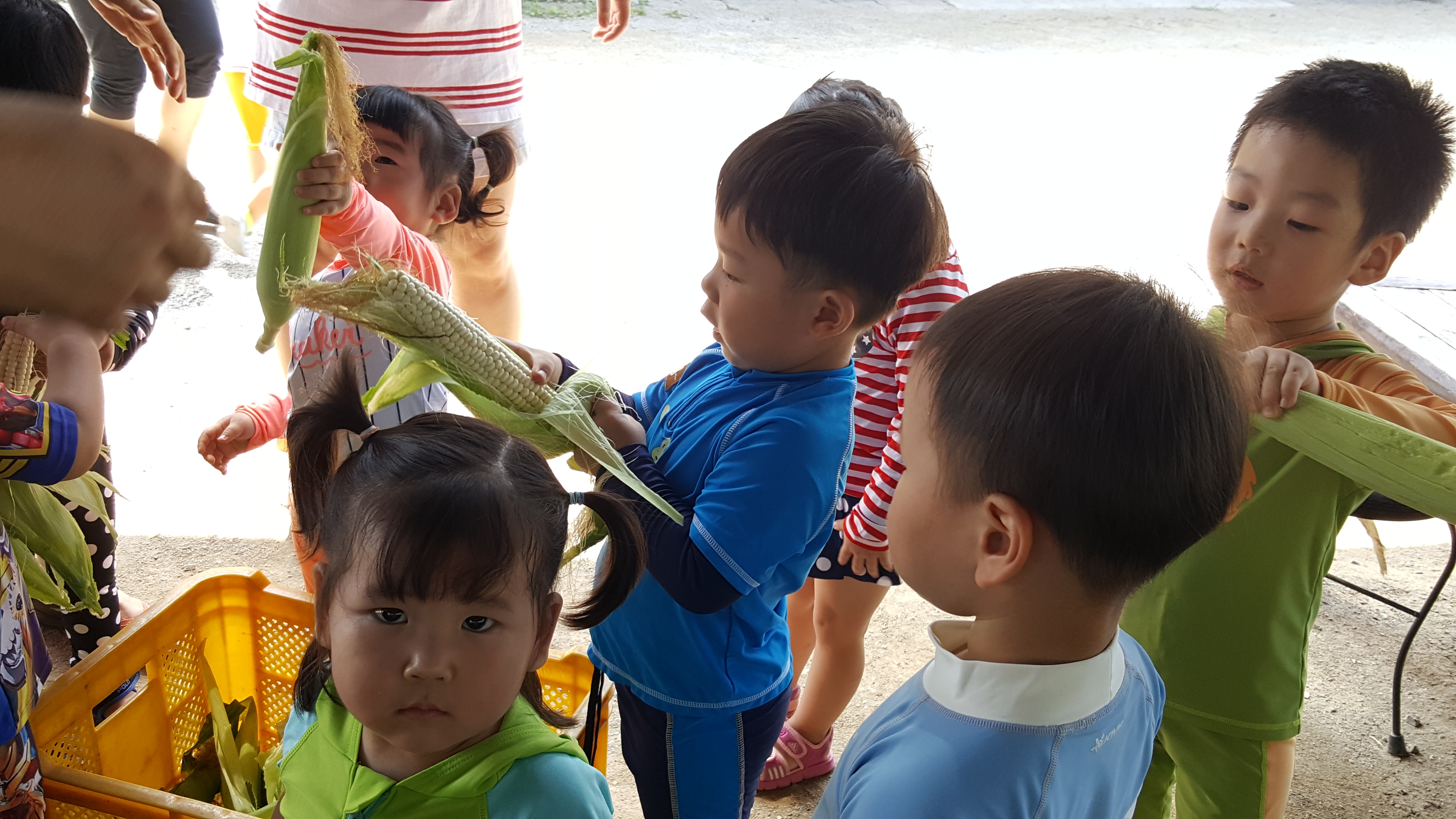 20160722_104849.jpg